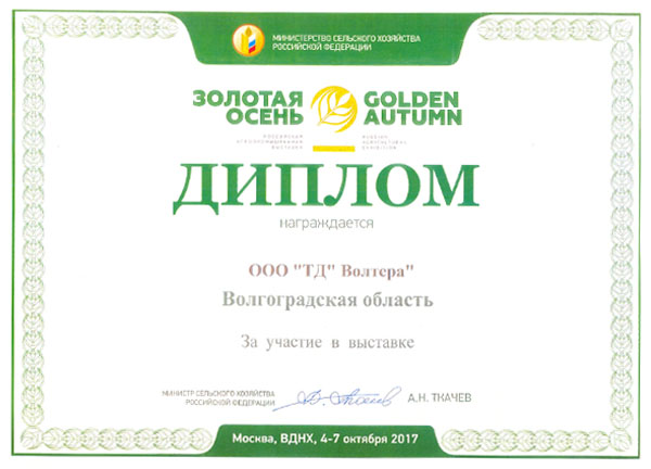 Диплом Золотая Осень 2017